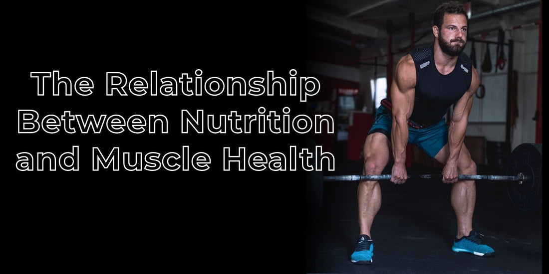 Understanding the Relationship Between Nutrition and Muscle Health