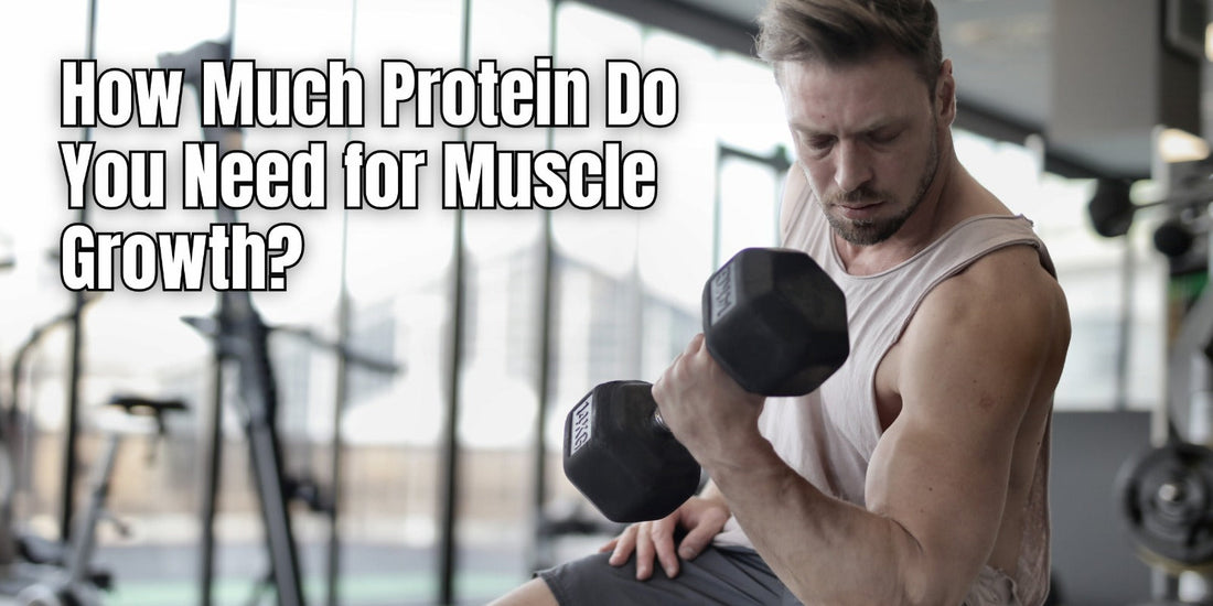 How Much Protein Do You Need Per Day?