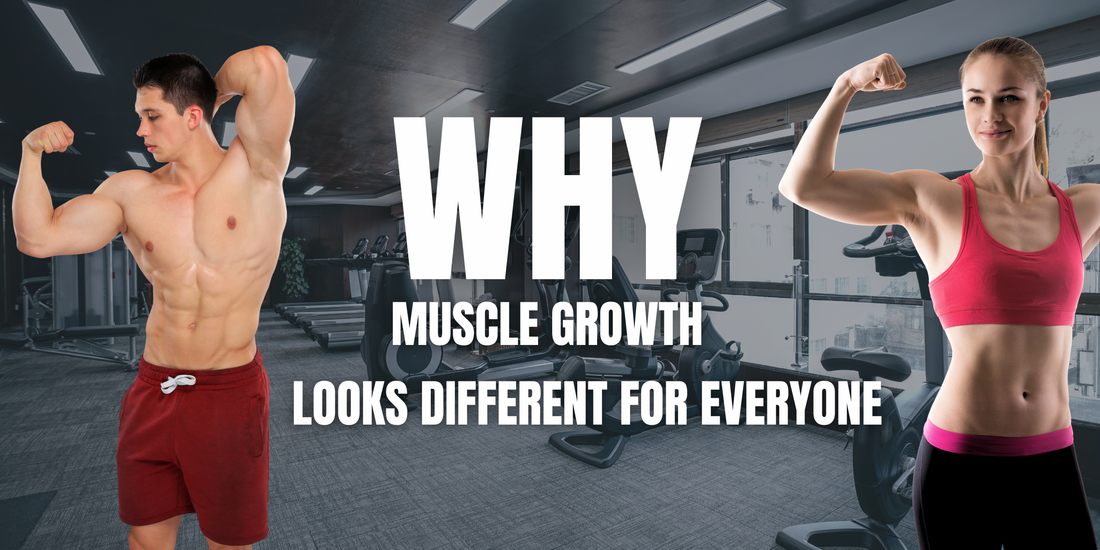 Why Muscle Growth Looks Different for Everyone?