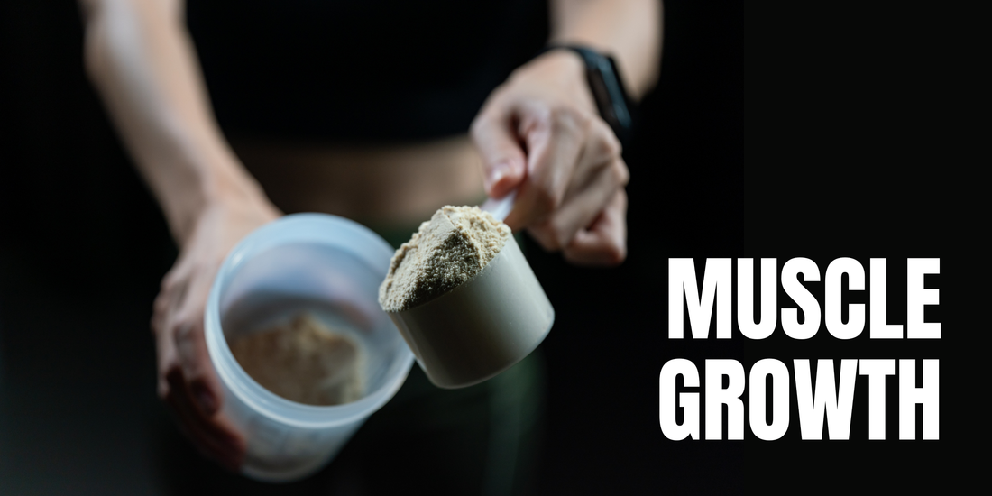 How Mass Gainer Helps Muscle Growth Over Time